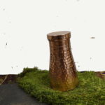 Copper Hammerhead – Bild 5