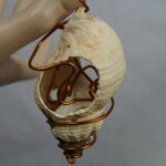 Mystische Spiralschnecke – Bild 5