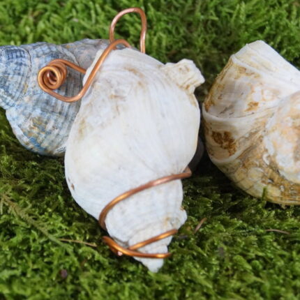 Merlin fand bei Vollmond die zauberhafte Schnecke. Die Kupferspiralen einfangen die Ozeanenergien. Ein Juwel der Vielfalt und Stärke, eine Verbindung zu Merlins Vision der Zwergenwelten. Mystik im handlichen Format.