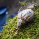 Kystjuvel – Bild 2
