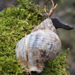 Kystjuvel – Bild 3