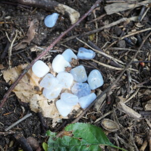 Chalcedon
