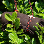 Tragegurt