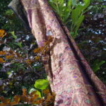 Orientalischer Dekotraum – Bild 3