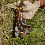 Schatz der Gezeiten – Bild 3