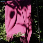 Genua – Bild 7