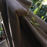 Gabun – Bild 3