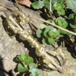 Anahata – Bild 5