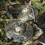 Draconis-Klang – Bild 6