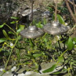 acht Symbole – Bild 5