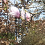 Tanz des Feuers – Bild 4