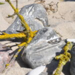 Rúnarbind – Bild 5