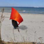 Sonnenrast – Bild 3