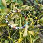 Pfad der Harmonie – Bild 5