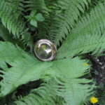 Sola – Bild 5