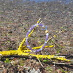 Seelenklar – Bild 4