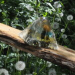 Distellicht – Bild 5