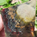 Feuerkern – Bild 3