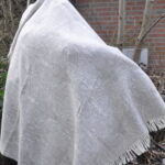 Samtpfote – Bild 3