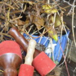 Pemba – Bild 2