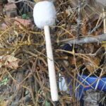 Tiefenbrummer – Bild 3