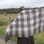 windgeist alma