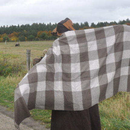 windgeist alma