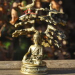 Bodhi-Baum Erleuchtung