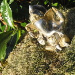 Ganesh – Bild 5
