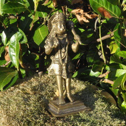 Hanumann
