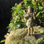 Hanuman Raksha – Bild 3