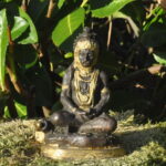 Hanuman Meditation – Bild 4
