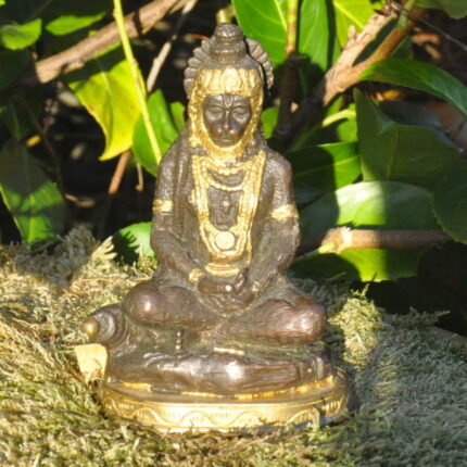hanuman in Versunkenheit