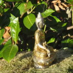 medizin buddah