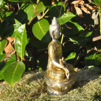medizin buddah
