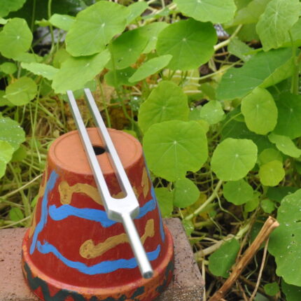 Stimmgabel