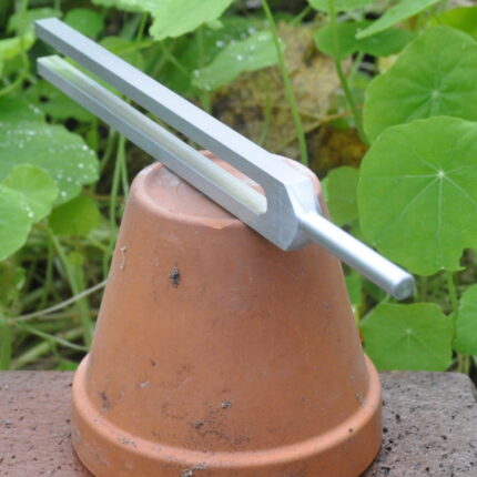 Geomagnetfeldstimmgabel