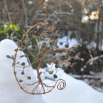 Awenwurzel – Bild 3