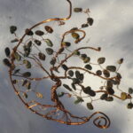 Awenwurzel – Bild 6
