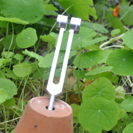 Profistimmgabel