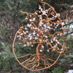 Etz Chaim – Bild 6