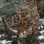 Etz Chaim – Bild 3