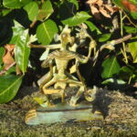Citipati – Bild 4