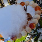 Lebensfunke – Bild 4