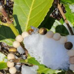 Samir – Bild 3