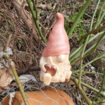 Finja bunt – Bild 3