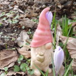 Lasse bunt – Bild 4