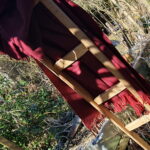 Lebensbegleiter – Bild 3
