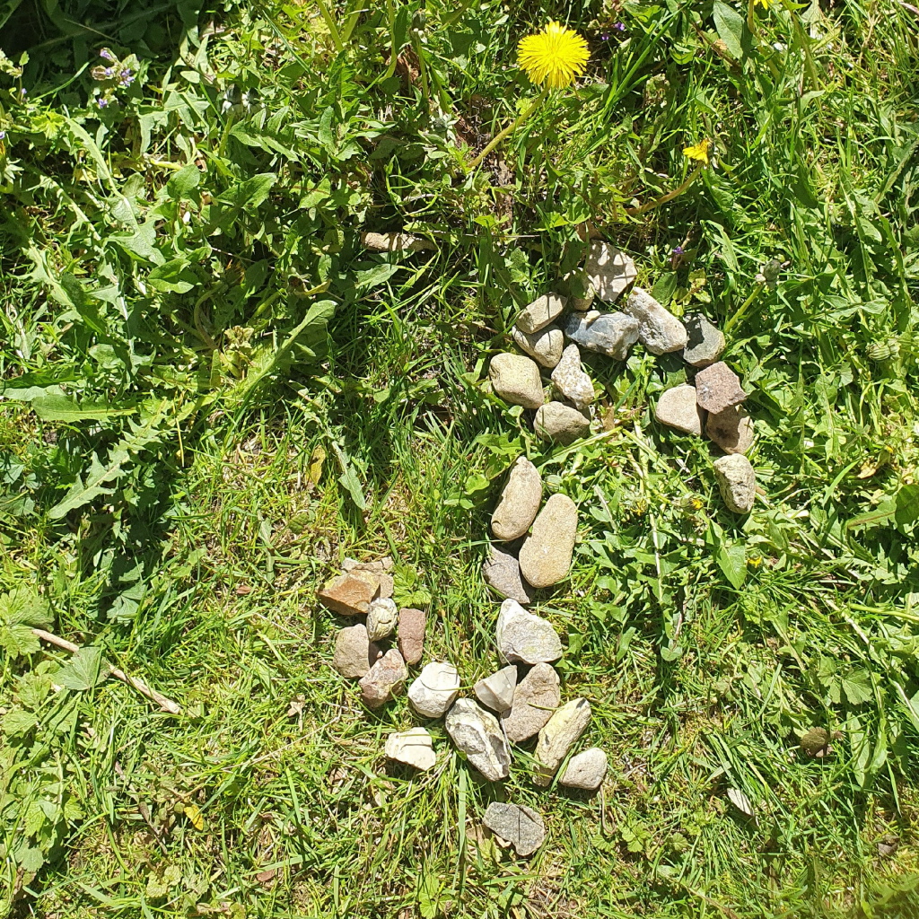 Eihwaz wird oft mit der Eibe verbunden – einem Baum, der für Beständigkeit und gleichzeitig für Wandel steht. Sie vereint Gegensätze: Leben und Tod, Anfang und Ende, Bewegung und Ruhe.