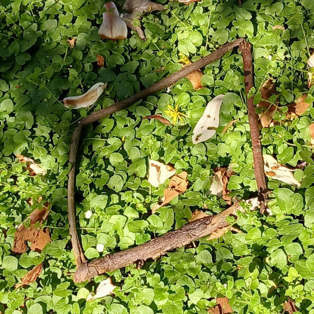 Ingwaz steht für das, was sich im Inneren sammelt und formt, bevor es sichtbar wird. Sie ist eine Rune der stillen Entwicklung – nichts nach außen Drängendes, sondern ein Prozess, der sich von selbst vollendet. Oft wird sie mit Samenenergie verglichen: alles ist bereits da, aber noch nicht entfaltet.